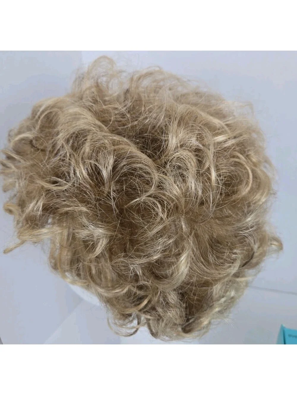 The Wig Company Fashion Club Designs Style Focus Color 365 MPetite Wig